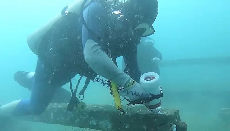 Diving Services